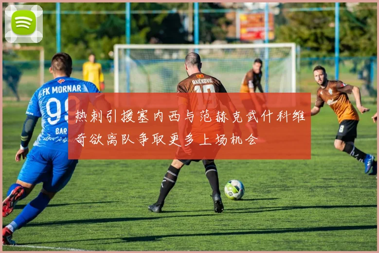 热刺引援塞内西与范赫克武什科维奇欲离队争取更多上场机会