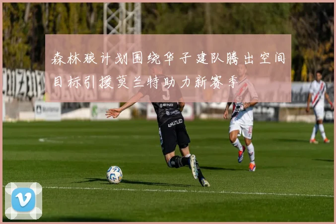 森林狼计划围绕华子建队腾出空间目标引援莫兰特助力新赛季